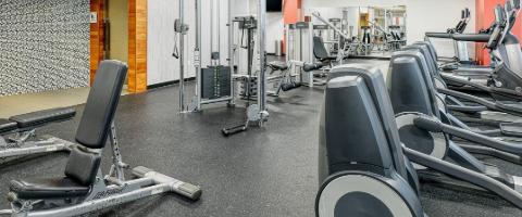 Hotel Features & Amenities